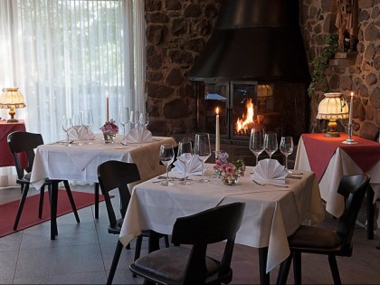 Foto: Klosterwald